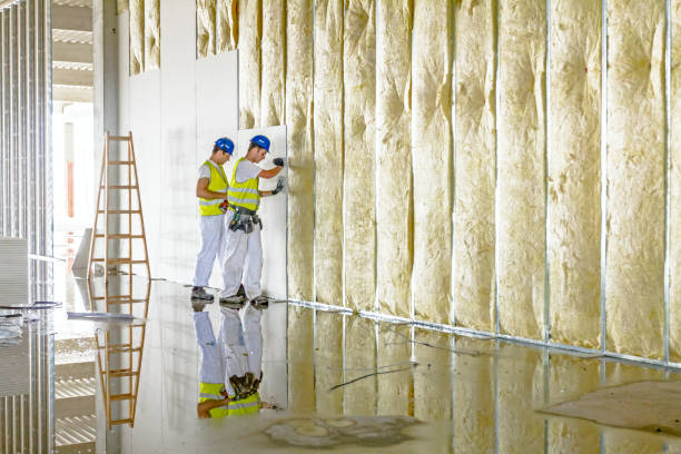 Best Attic Insulation Installation  in Portola, CA