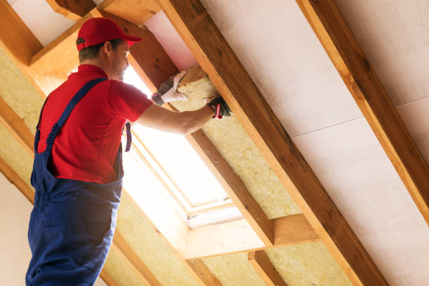 Best Batt and Roll Insulation  in Portola, CA